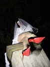 suspiria.em Altpins Profile Picture