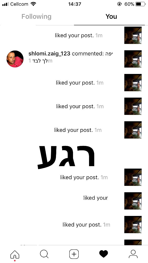 kesemgreenyer instagram image archive image