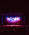 cannonstheband Altpins Profile Picture
