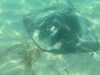 gissell_eli Altpins Profile Picture