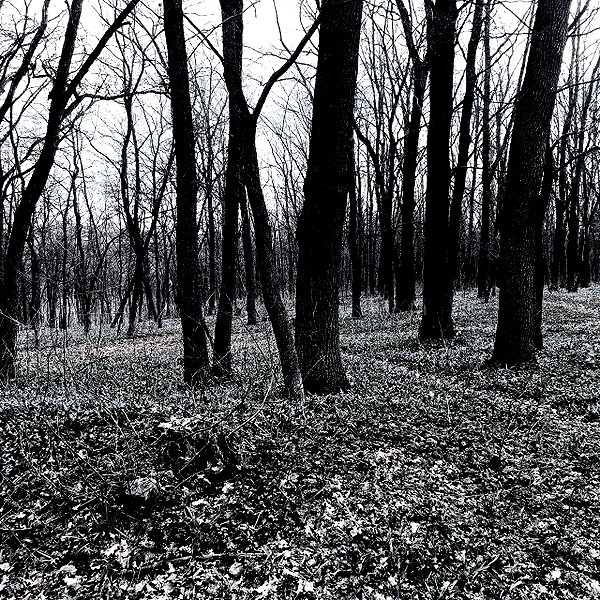 hav_oku instagram image archive image