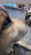 _urbaneva Altpins Profile Picture