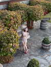 fair_mua Altpins Profile Picture