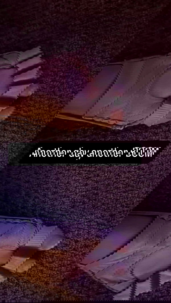 swholeanimal swholeanimal archive image