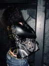 eliabzs Altpins Profile Picture