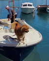 milena_milachich Altpins Profile Picture