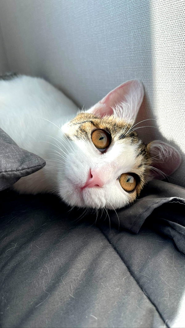 yuna_1_27 instagram image archive image