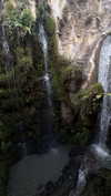 _mashachka_ Altpins Profile Picture