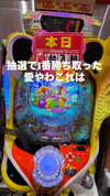 nagichan_doll Altpins Profile Picture