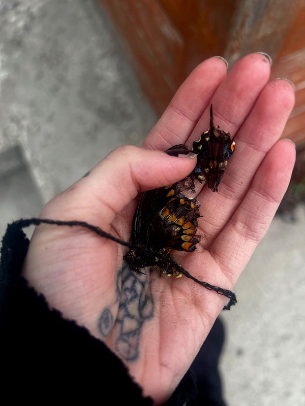 foulboness instagram image archive image