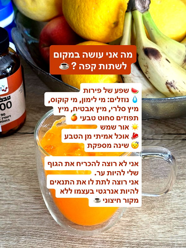 lital.oss instagram image archive image