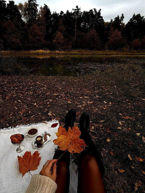 alishevs instagram image archive image