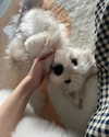 dear.zia Altpins Profile Picture