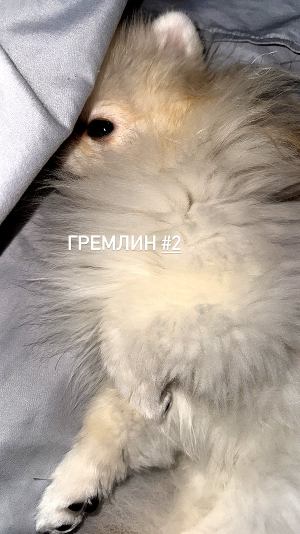 imshigh_ imshigh_ archive image