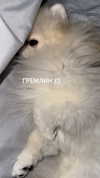 imshigh_ Altpins Profile Picture