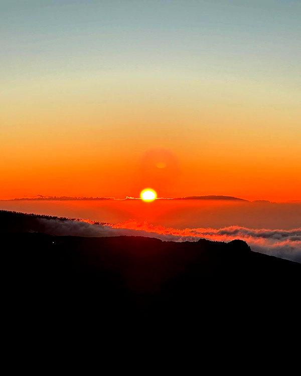 anzhelater instagram image archive image