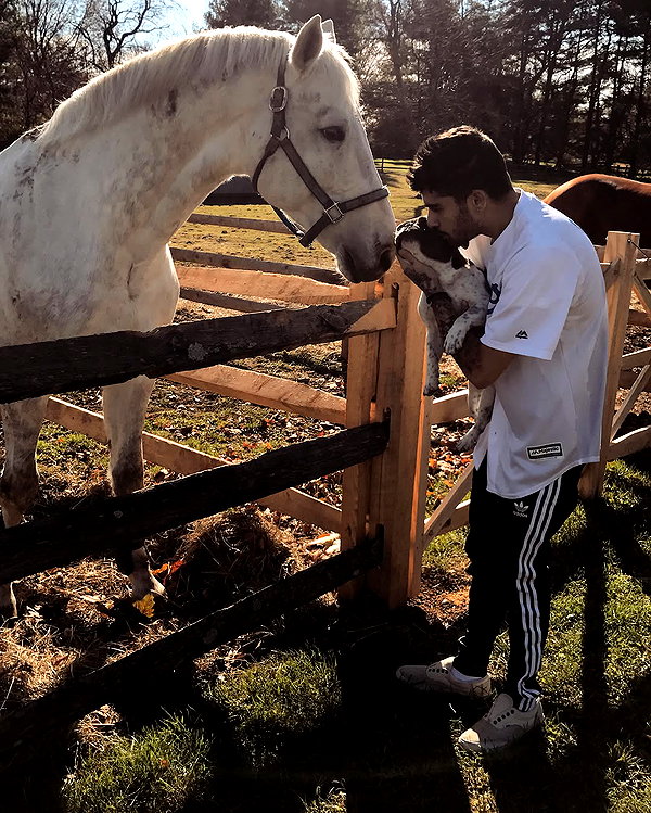 gigihadid instagram image archive image