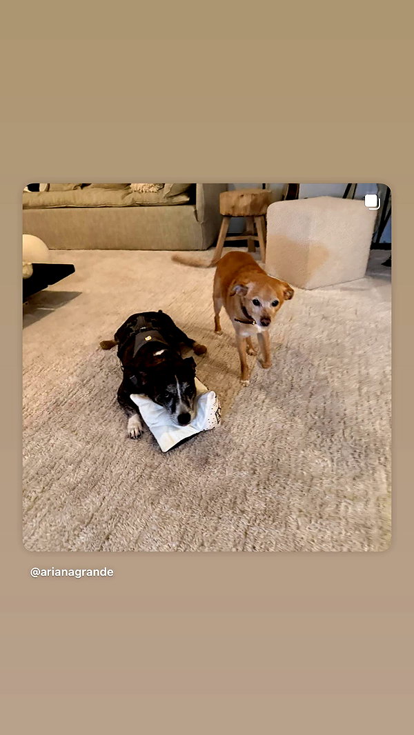 arianagrande instagram image archive image