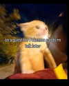 ellaexplicit_ Altpins Profile Picture