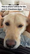 gabbyepstein Altpins Profile Picture