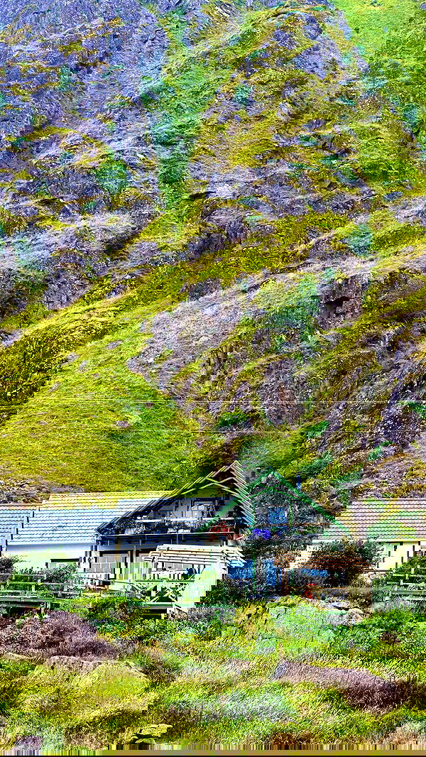 taylor.creeden taylor.creeden archive image