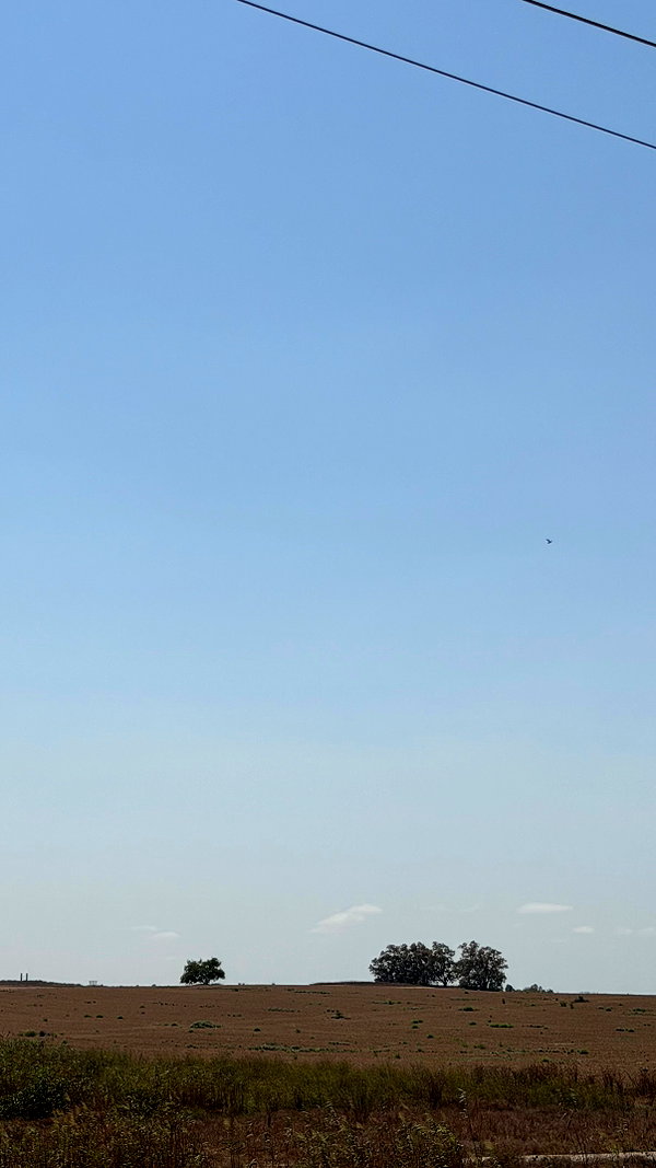 efrat_elmalich instagram image archive image