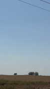 efrat_elmalich Altpins Profile Picture