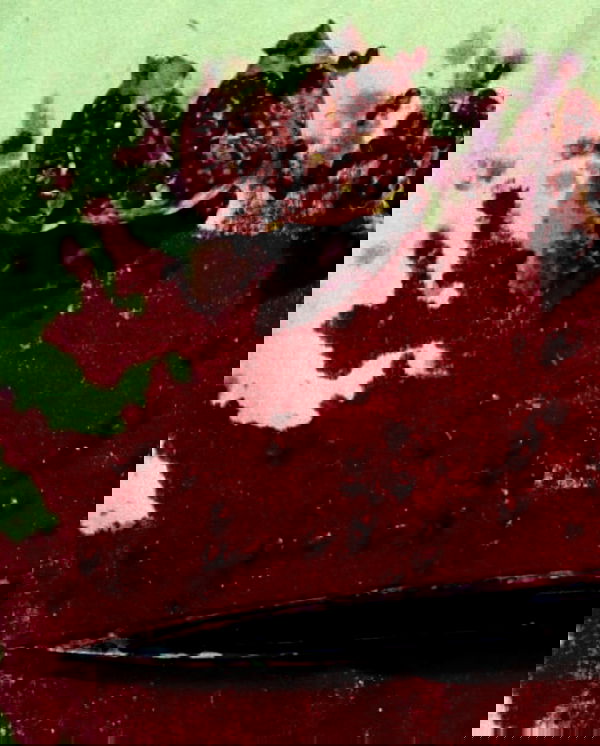 urfavbellabby urfavbellabby archive image