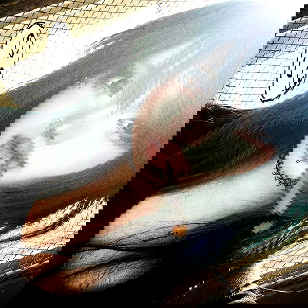 vixeniaaa vixeniaaa archive image