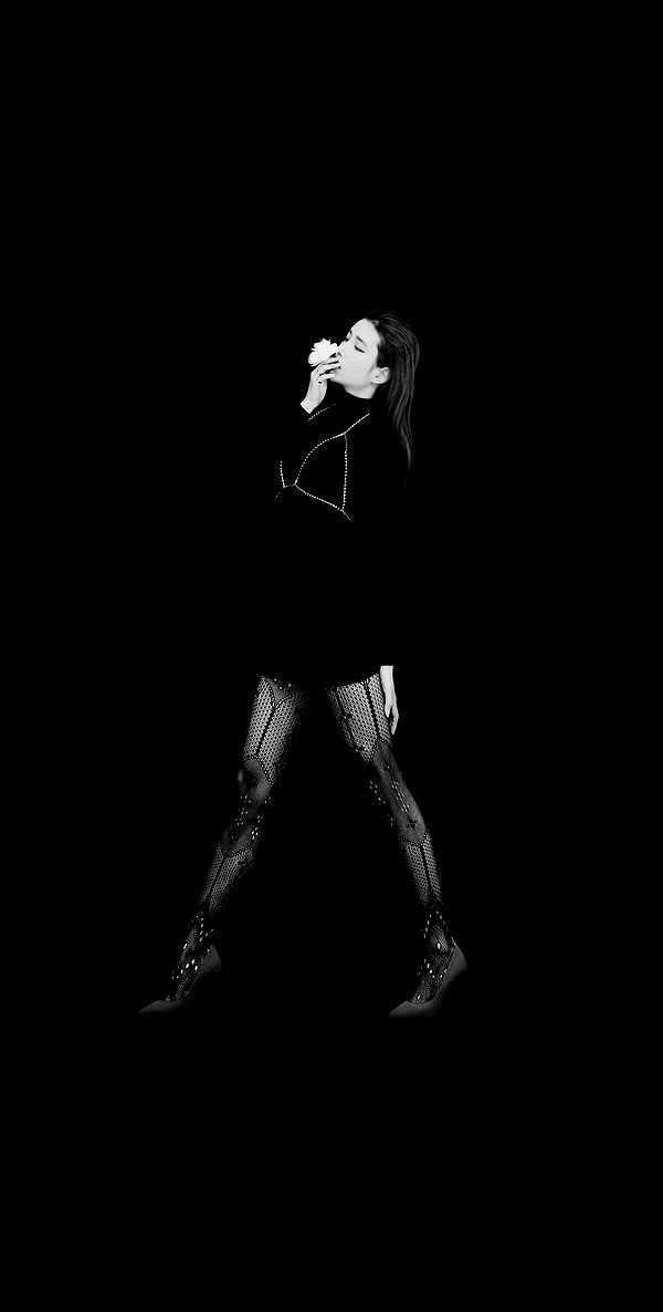 bora__look archive image