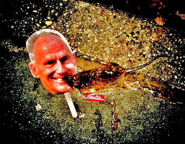 bugz4brainz instagram image archive image