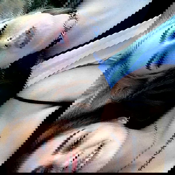 annfigmax image ~ Altpins