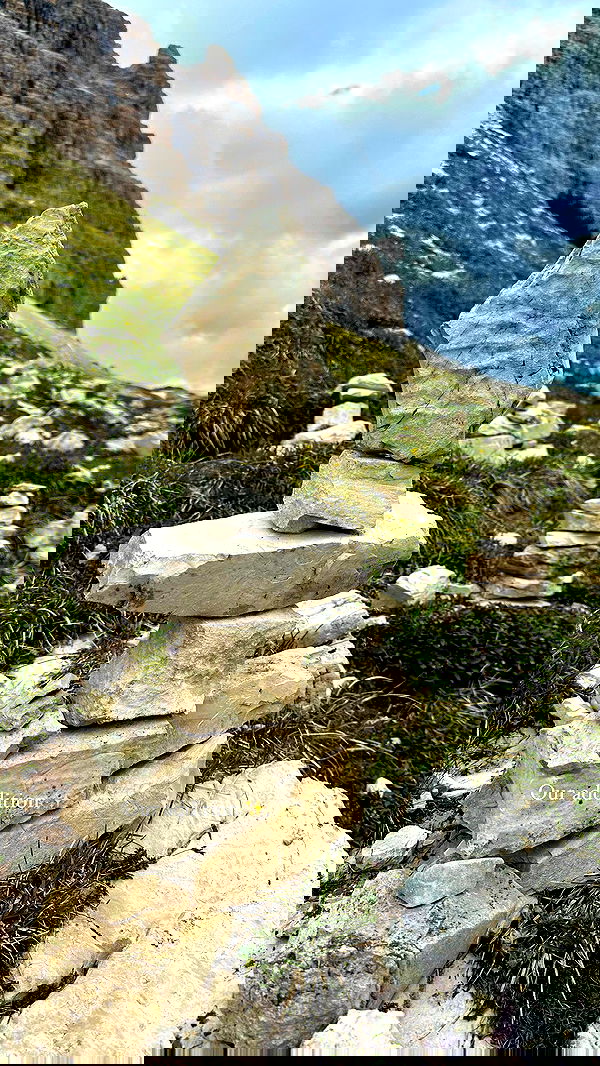 taylor.creeden taylor.creeden archive image