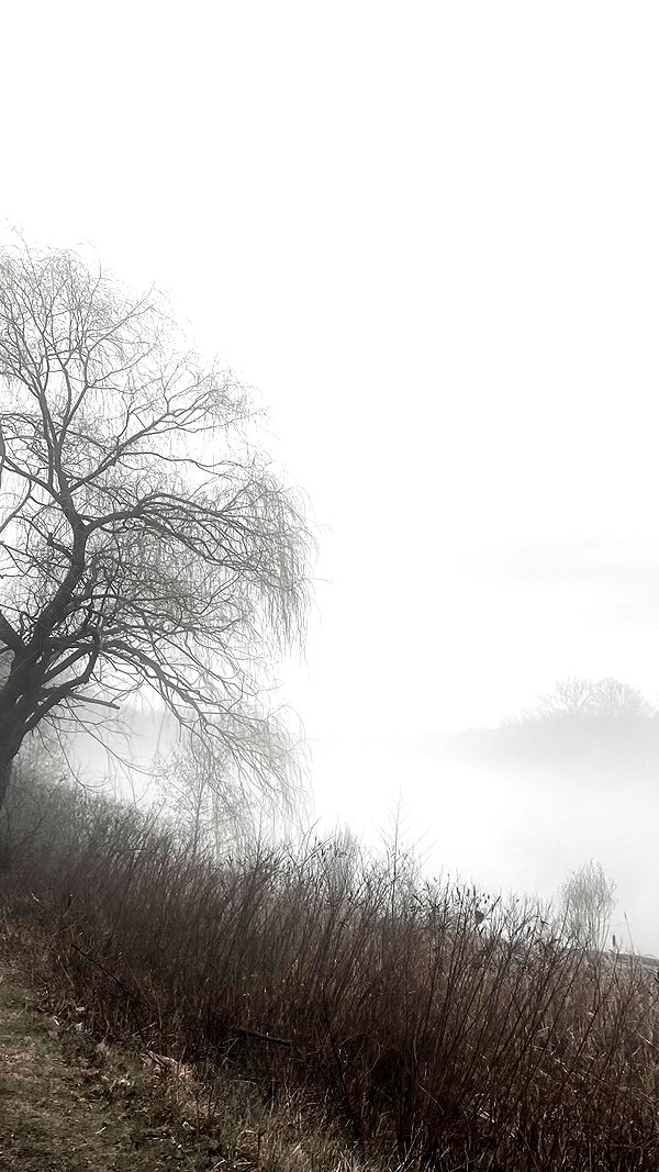 danvyee archive image