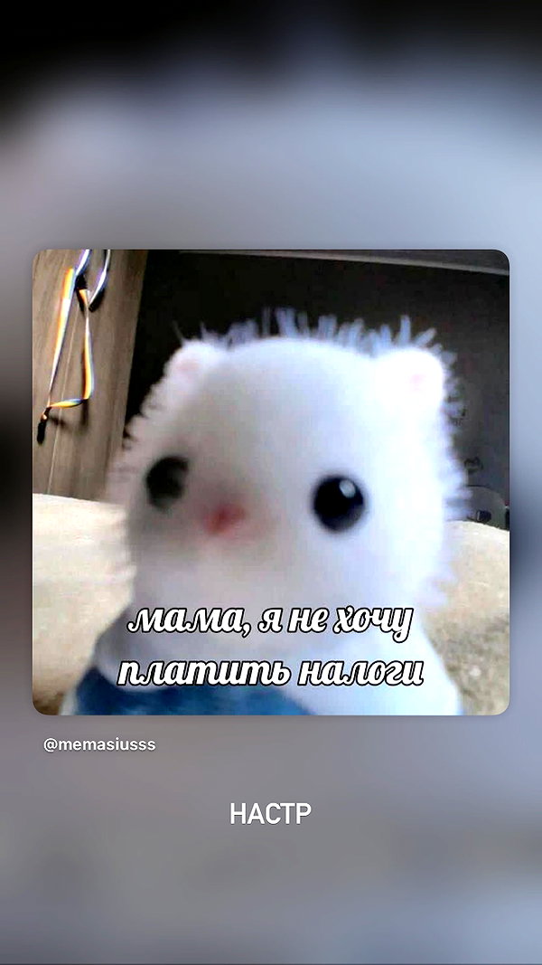 daryanedarya instagram image archive image