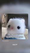 daryanedarya Altpins Profile Picture