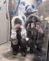fish_fingiiies Altpins Profile Picture