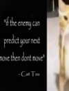 _dafi_lu Altpins Profile Picture