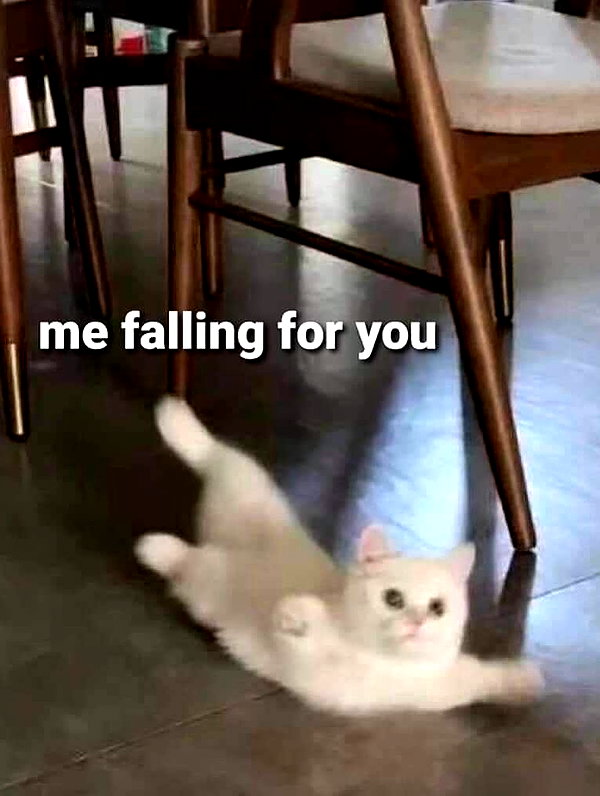 milkiwifey instagram image archive image