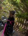 jahia_brown Altpins Profile Picture
