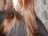 hoodifruit Altpins Profile Picture