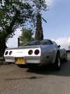 simp_for_cats_ Altpins Profile Picture