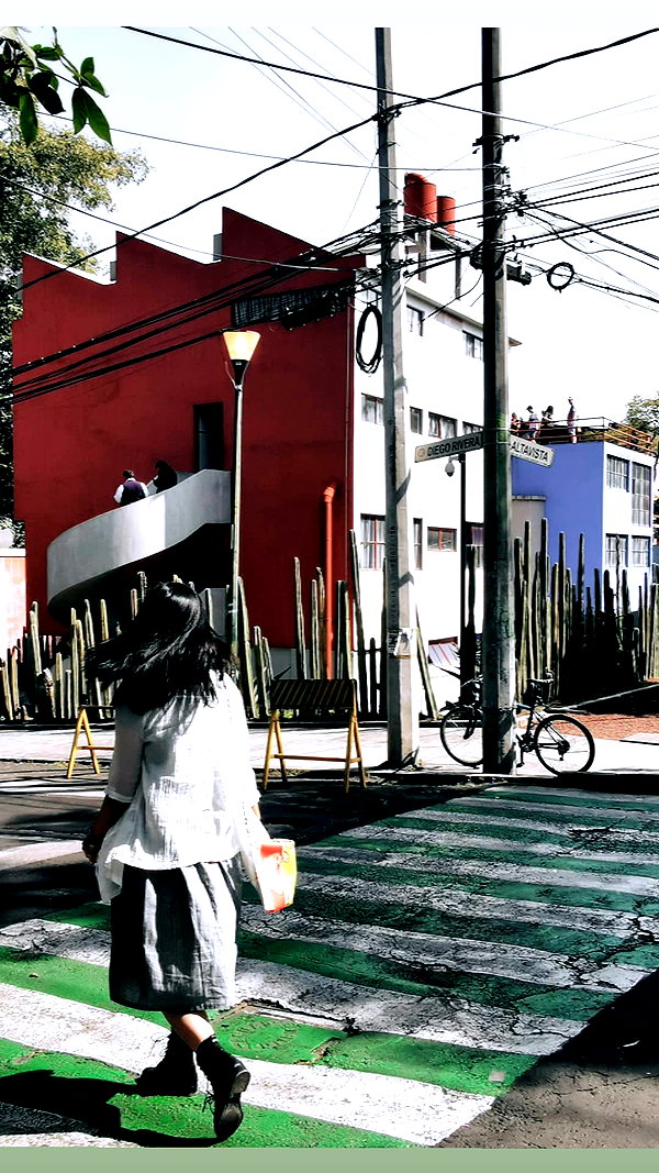 shulunc instagram image archive image