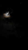 gissell_eli Altpins Profile Picture