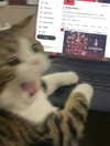 firedancer121 Altpins Profile Picture