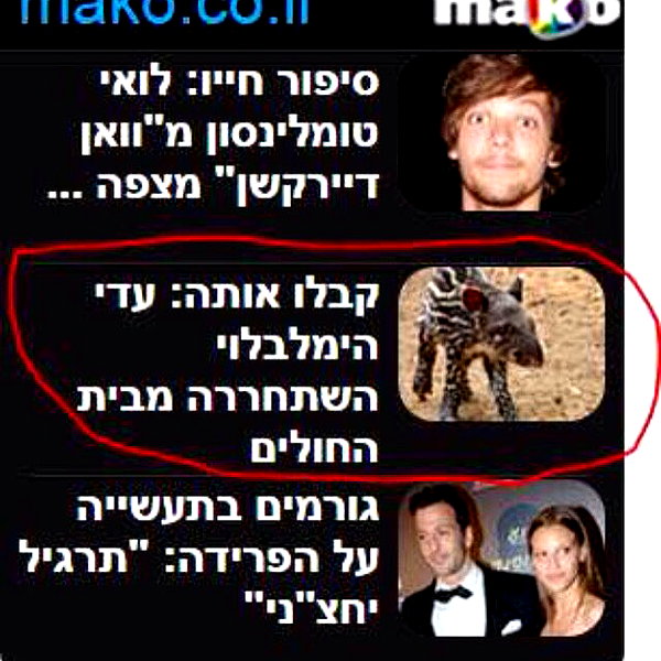 adihimelbloy instagram image archive image