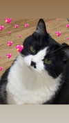 yuna_1_27 Altpins Profile Picture
