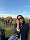dualipa Altpins Profile Picture