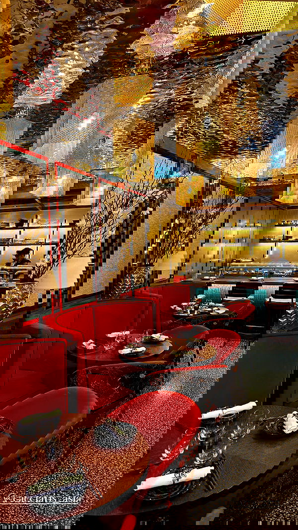 taylor.creeden taylor.creeden archive image