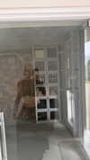 alexandramarianna Altpins Profile Picture